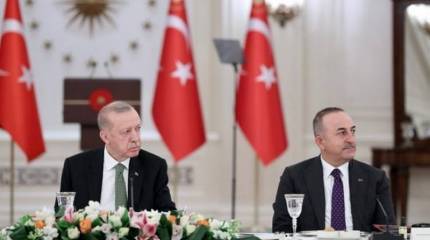 Турция отказалась присоединяться к европейским санкциям против России