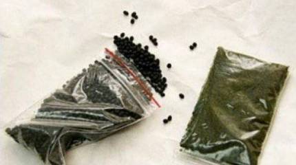 Дети-наше будущее? Часть 3.