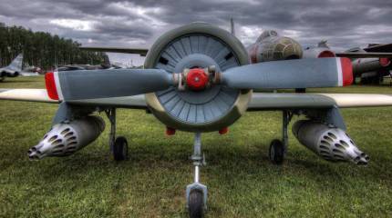 Волонтёры Монино