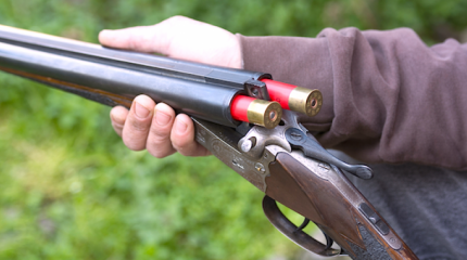 Альтернатива короткостволу в России