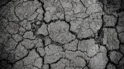 Пресса США: Еврокомиссия заявила о риске начала конфликта между странами ЕС из-за дефицита воды