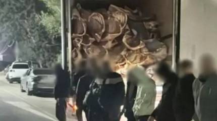 На Украине задержали 16 мужчин, пытавшихся незаконно пересечь границу с Молдовой в рефрижераторе с мясом