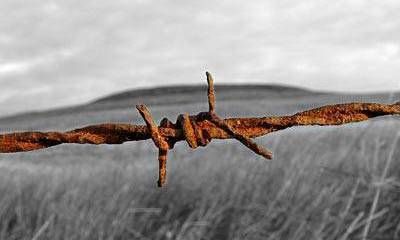 О железном занавесе 2.0: как это будет