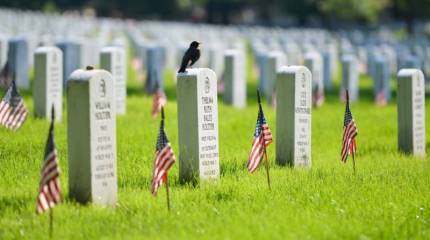 Прощай, оружие? Американцы ждут президента-пацифиста