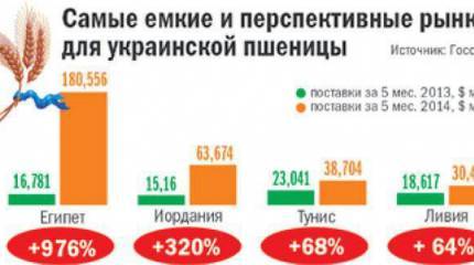 Зерновой демпинг вместо доминирования. Как Украина платит перспективами за войну