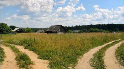 Два русских генерала. О выборе П.Н. Краснова и А.И. Деникина в годы войны