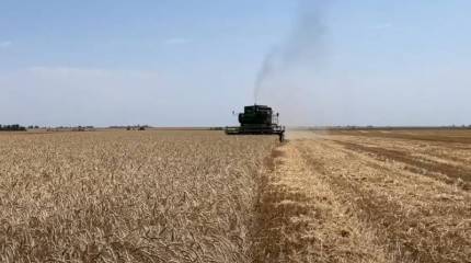 Евросоюз договорился с пятью странами Восточной Европы по ввозу украинского зерна