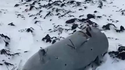 Опубликованы кадры с места падения неопознанного объекта в Волгоградской области