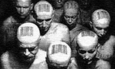 Поля информационной войны