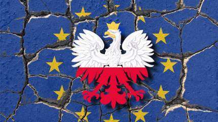 Польский ответ Маккейну Польский ответ Маккейну