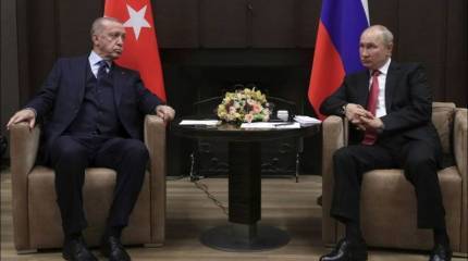 «Метит в миротворцы на Украине»: немецкое СМИ назвало причину встречи Эрдогана с Путиным в Сочи