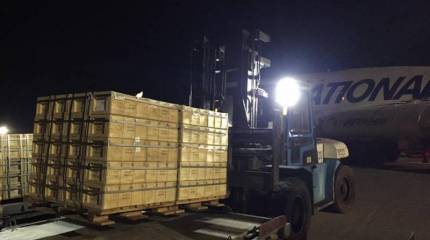 Два самолета ВВС США с боеприпасами стандарта НАТО приземлились в Киеве