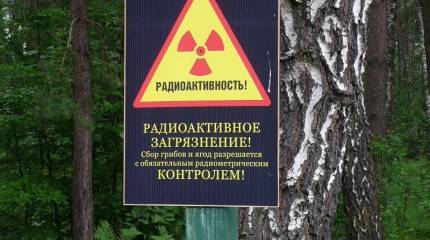 Румынский сенатор: После взрыва в Хмельницкой области Украины радиоактивное облако преодолело 400 км за два дня