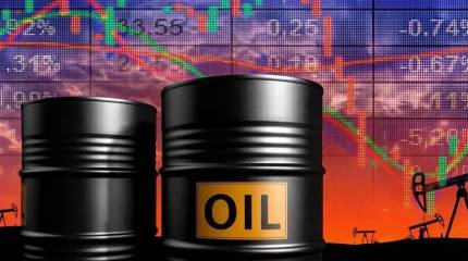 Япония произвела самое крупное в своей истории сокращение запасов сырой нефти