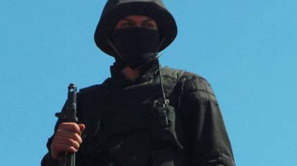 Добровольческие и получастные патриотические формирования Украины.