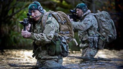 Британский генерал и вишенка на российский торт