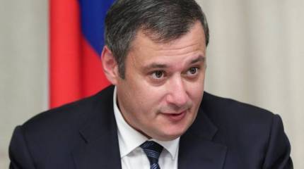 Депутат Госдумы Хинштейн взял под контроль дело об избиении инвалида СВО