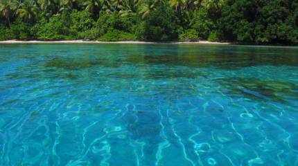 Америка: глобализм и заморские колонии