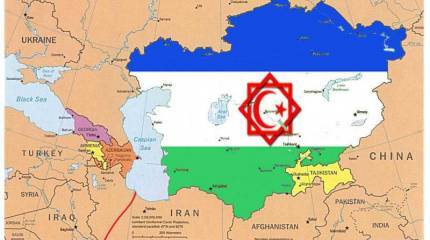 Альтернативный метод борьбы с миграцией. Туркестанский Союз