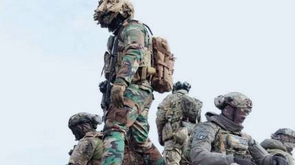 В Луганске сообщили об активизации украинских ДРГ на Купянском направлении