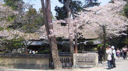 Самураи и ниндзя (часть первая)