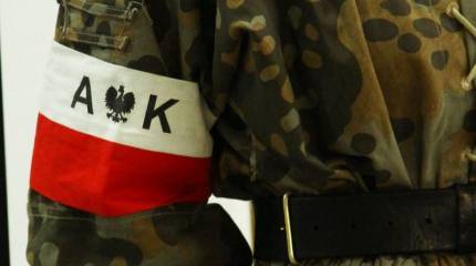 Как польская Армия Крайова пыталась задержать гитлеровцев на восточном фронте: из истории Второй мировой