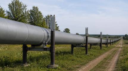 Наследие Грэма: Пошлины для покупателей газа из РФ могут «потопить» Словакию