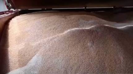 Хорватия выразила готовность оказать содействие Украине в транспортировке её зерна