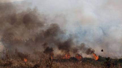 Израильские войска нанесли удар по позициям сирийской правительственной армии