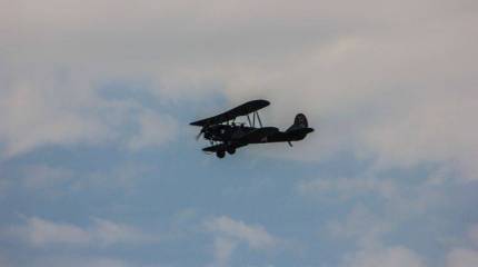 Король ночного неба при свете дня