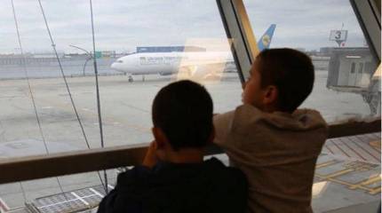 Украинскому премьеру пришлось объясняться, почему авиакомпания не отменила рейс Тегеран-Киев