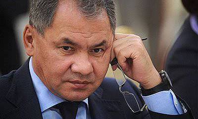 Шойгу сравнил протесты с событиями 93-го