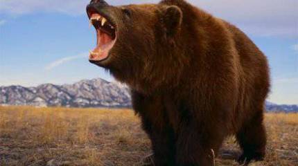 Военная реформа в России глазами разведчика: "кадровый разгром"