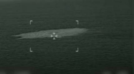 В Стокгольме объяснили отказ допустить Россию к расследованию диверсии на газопроводах «секретностью следствия»