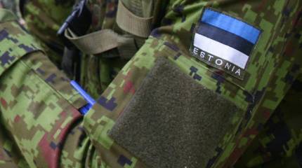 Дедовщина по-эстонски: двух сыновей русского миллионера заставили копать себе могилы