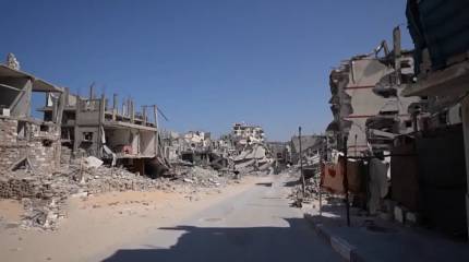 ЦАХАЛ расчищает юг Газы – оккупированную территорию ровняют с землей