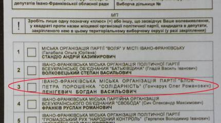 Пятьдесят оттенков выборов. Украинская политика без правил и купюр