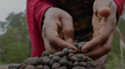 Один из крупнейших поставщиков кофе на мировой рынок подал заявку на вступление в БРИКС