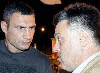 Финансово-политические тайны Олега Тягнибока и Виталия Кличко