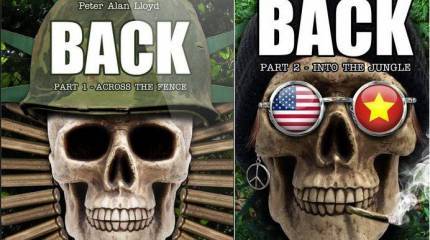 Вьетнамские ловушки для американцев