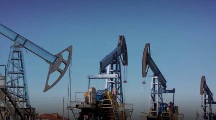 Всемирный банк: палестино-израильская война может удвоить цены на нефть