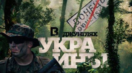 Разгром киевской хунты и бегство американских инструкторов может случиться уже в этом году