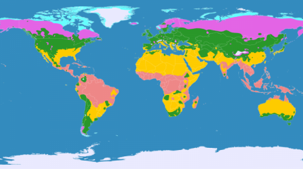 Почему Россия уникальна