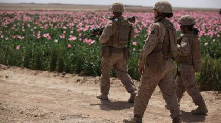 Страна цветущих маков