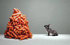 Большой «Капут» киевской хунты неизбежен