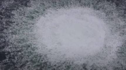 Американский журналист: власти США грозились подорвать «Северные потоки», если Россия начнёт операцию на Украине