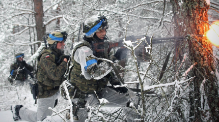 Как я праздновал победу над Польшей, одержанную в 2030 году
