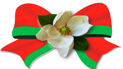 В Беларуси георгиевскую ленточку заменят на красно-зелёную