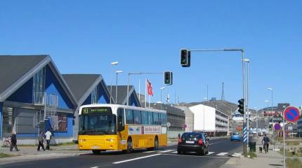 Отчёт: Дания годами вела деятельность по снижению рождаемости в Гренландии