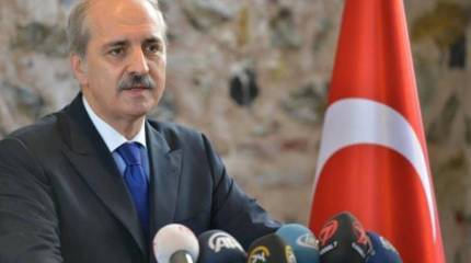 Куртулмуш: Турция не планировала уничтожение российского Су-24